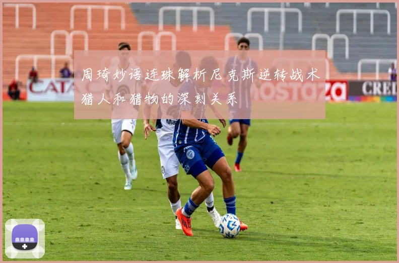 周琦妙语连珠解析尼克斯逆转战术猎人和猎物的深刻关系